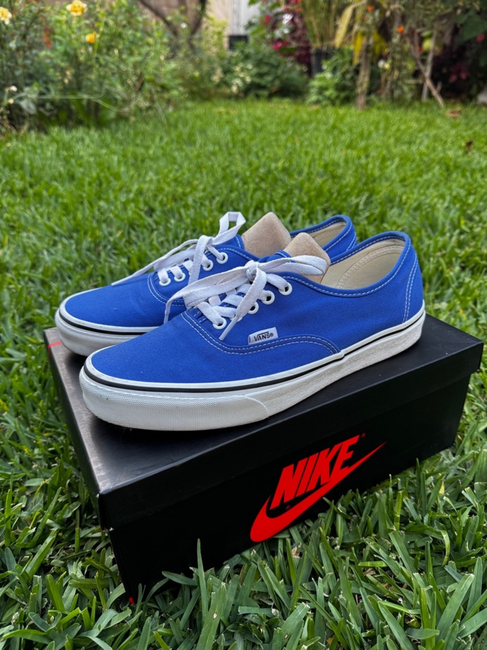 Vans Authentic skate shoes - royal blue/white 
(M 9.5 / W 11)